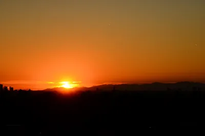 DSC_1481 (Large).JPG